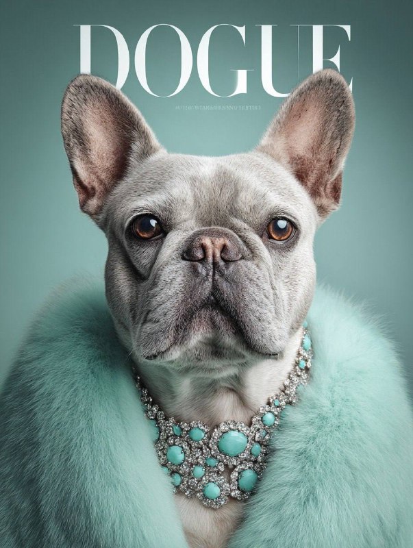 DOGUE — Anthropomorphic Luxury Cover Editorial (1221)