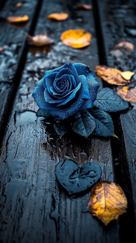 Indigo Rose Rain Macro